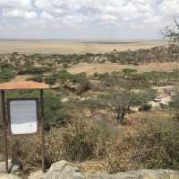 Serengeti Viewpoint｜絕美景色｜坦尚尼亞 Eden Valley