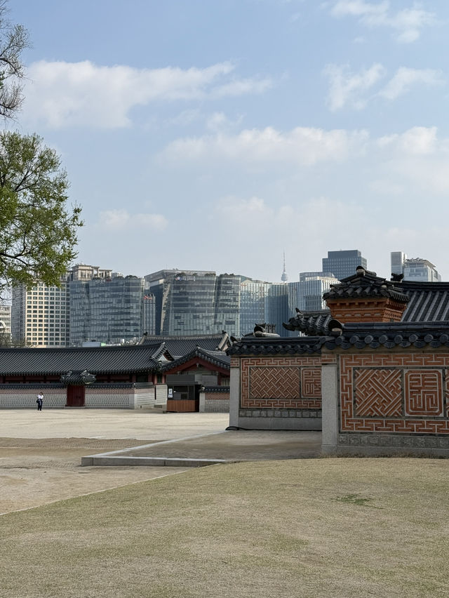 경복궁 어디부터 어떻게 돌아야하나요?!