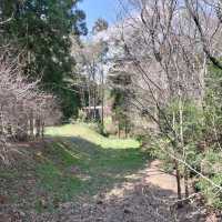 Minowa Castle Ruins, Gunma