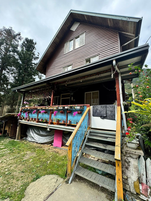來去阿里山童畫世界的小村落～「得恩亞納社區」住一晚