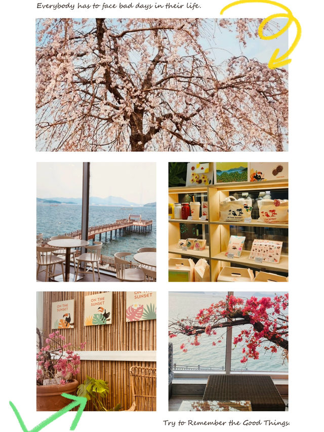 Coastal Calm: Your Geoje Seaside Escape in April 🌊☕ 