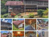 “Echoes of Tradition: Embrace the Longhouse Legacy at Sabah Tea Resort”