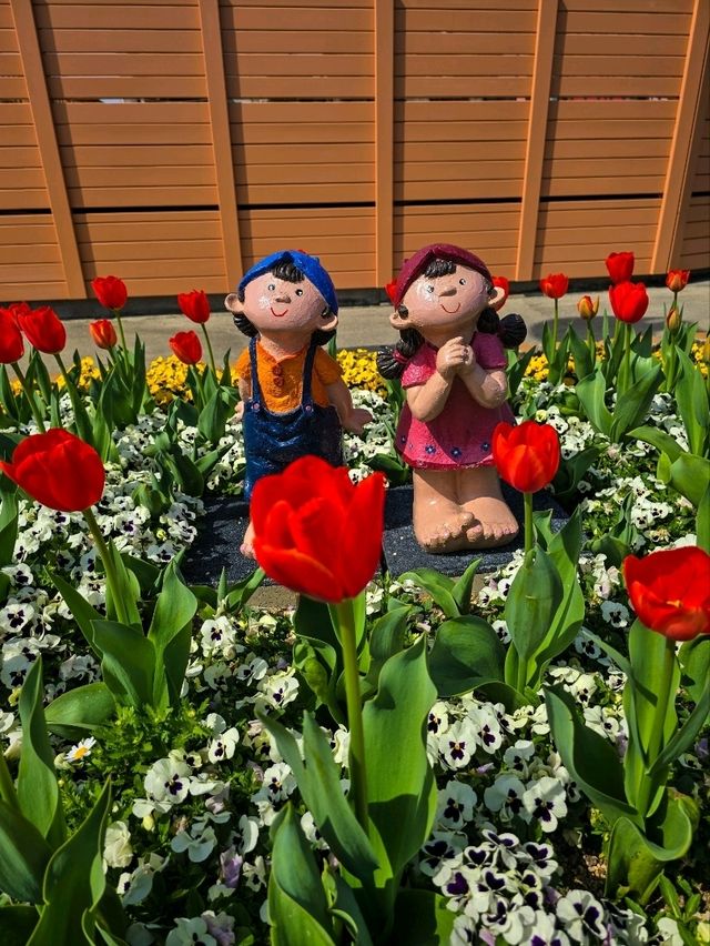 Iwagaike Park 🌷🪻🌸