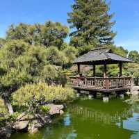 赤塚公園｜城市綠洲之美