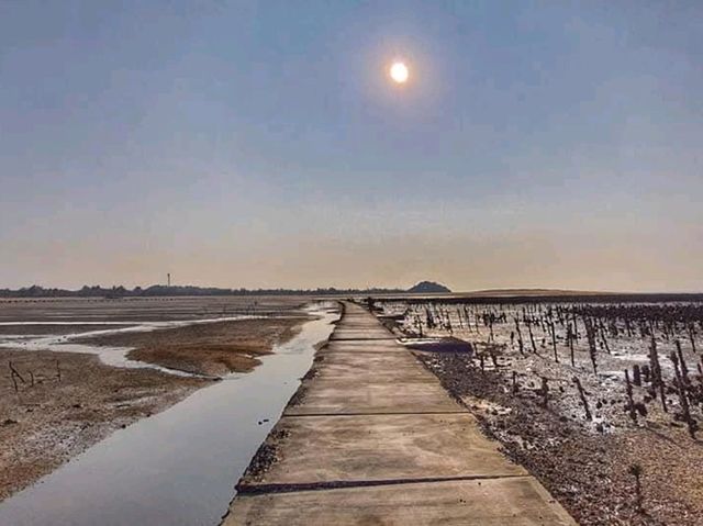 金門自然美景戰地之外，島嶼的柔情與綠意