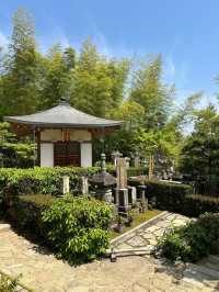 Hidden Temple In Arashiyama