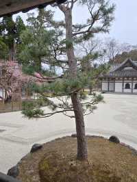 瑞巖寺-來到日本三景松島絕對不能錯過的國寶