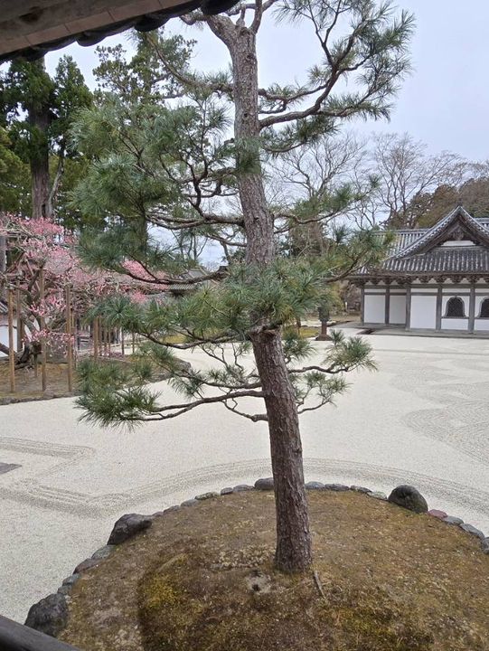 瑞巖寺-來到日本三景松島絕對不能錯過的國寶