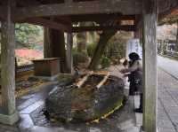 樹齢400年を超える大楓の紅葉