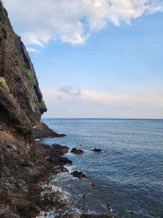 Recommended Attractions in Ulleungdo 🩵