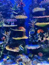 Fascinating Experience at Underwater World Langkawi