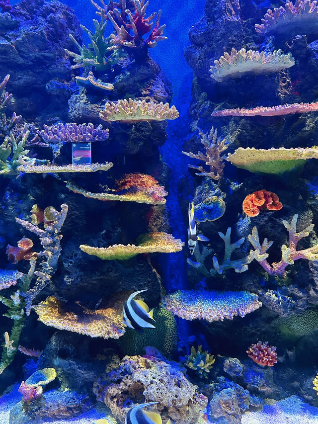 Fascinating Experience at Underwater World Langkawi