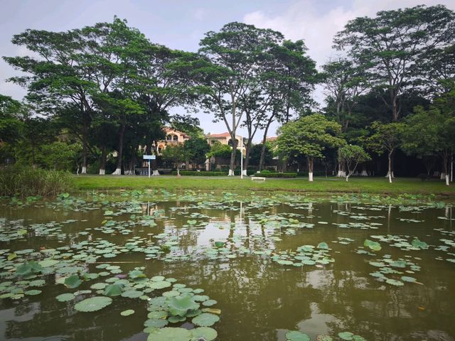 松山湖