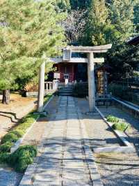 Tranquility in Kyoto – A Temple Garden Stroll