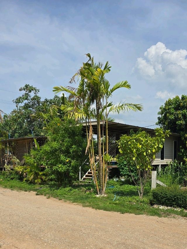 ล้านวิว บ้านฟาร์มคาเฟ่ ครอบครัว
