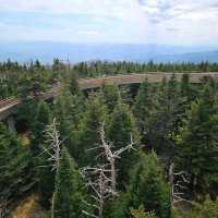Clingmans Dome – Great Smoky Mountains, TN