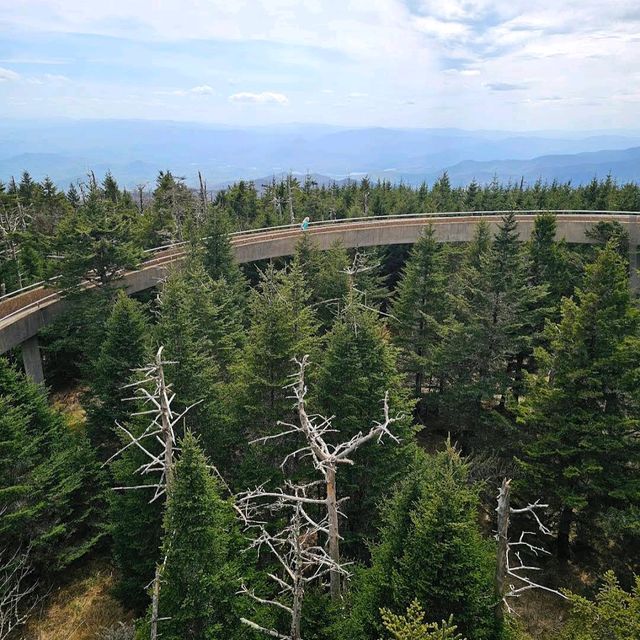 Clingmans Dome – Great Smoky Mountains, TN