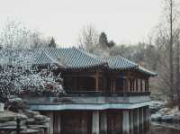 เดินเล่นทั่ว BEIJING ในฤดูใบไม้ผลิ 🌿🌸