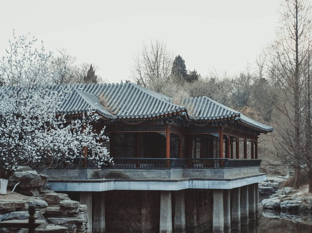 เดินเล่นทั่ว BEIJING ในฤดูใบไม้ผลิ 🌿🌸