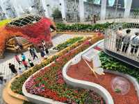 Wondrous Bloom ระยอง