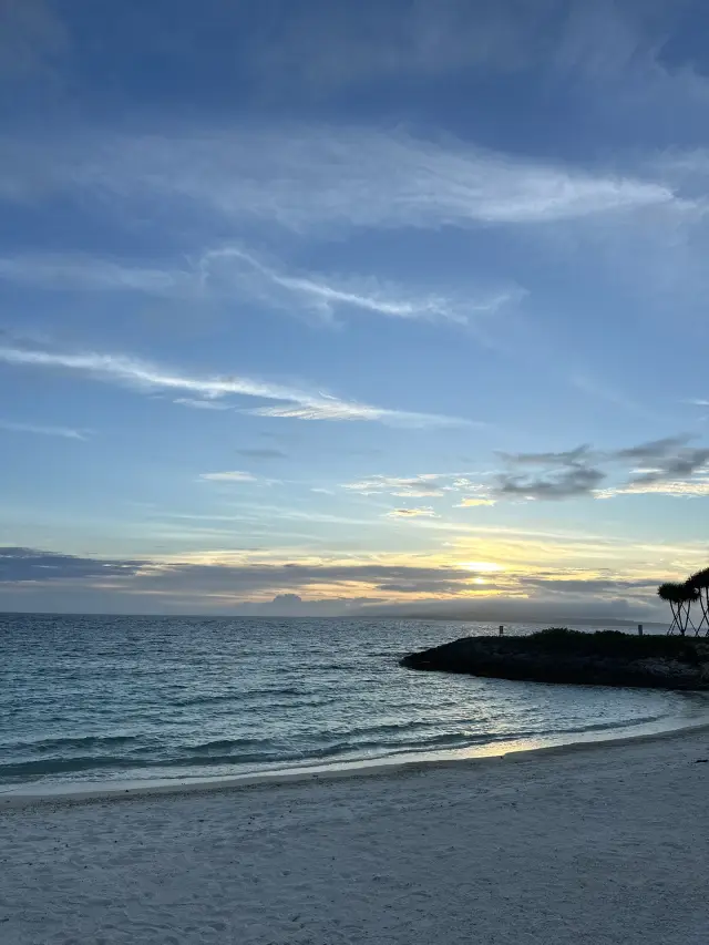 สถานที่ท่องเที่ยวสำหรับครอบครัวที่ยอดเยี่ยม! พิพิธภัณฑ์สัตว์น้ำชูราอูมิ + หาดเอเมอรัลด์