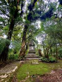 Chiang Mai’s Springtime Paradise