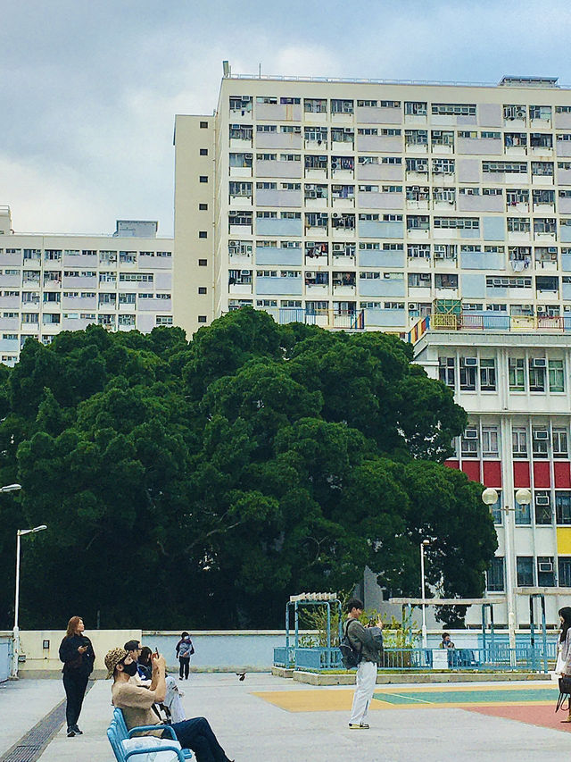 인생샷 건질 수 있는 홍콩의 초이홍 아파트 🌈🏀
