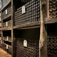 Capes, Barrels & Velvet Sips: A Wine Tasting Affair at Sandeman