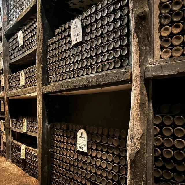 Capes, Barrels & Velvet Sips: A Wine Tasting Affair at Sandeman