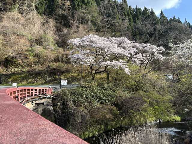 深山鄉村⛰️黑川溫泉♨️