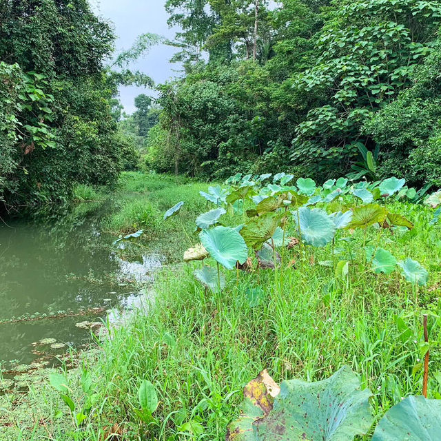 อุทยานแห่งชาติเขาคิชฌกูฏ จันทบุรี