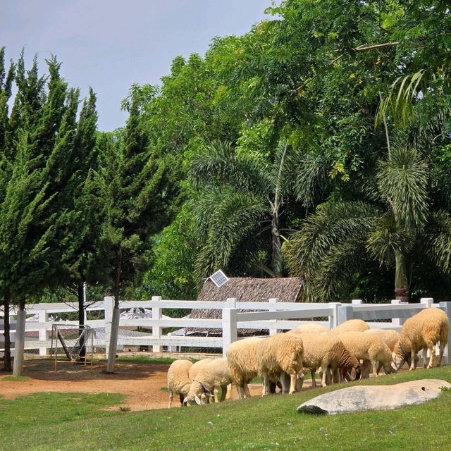 Bucolic คาเฟ่ background ภูเขาที่ใครๆก็ต้องมา