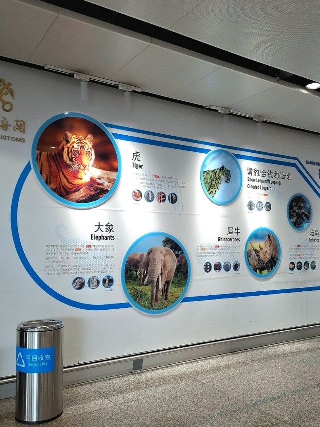 A NATURE MESSAGE FOR EVERY TRAVELLER IN KUNMING CHANGSHUI AIRPORT