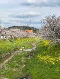 Shimonoseki – Where Two Seas Meet and Cultures Collide