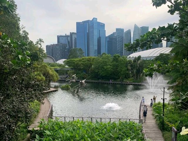 Gardens by the Bay – Singapore’s Futuristic Eden