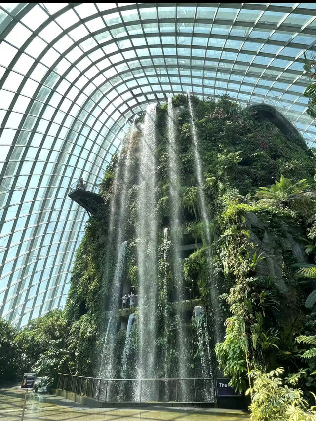 新加坡雲霧林｜高空瀑布＋冷氣森林夢幻又涼爽
