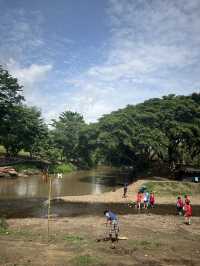 🇹🇭泰國清邁Kerchor 大象保護公園🐘✨不強迫大象的友善環境