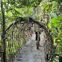 Immersed in Nature: Exploring Yanoda Rainforest in Hainan 