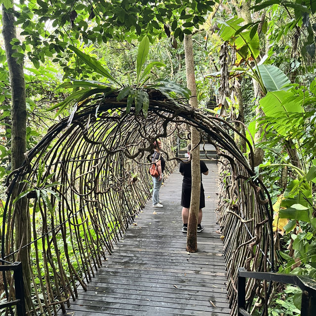 Immersed in Nature: Exploring Yanoda Rainforest in Hainan 