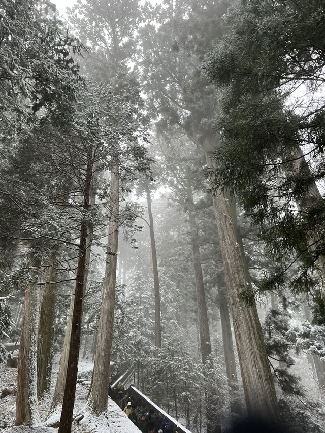 [JAPAN]🌲“Nikko” เมืองมรดกโลกกลางขุนเขา 🏔️