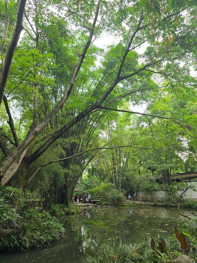 認識一代詩聖感受園林詩意