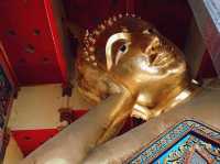 วัดบางพลีใหญ่กลาง พระนอนองค์ใหญ่มาก