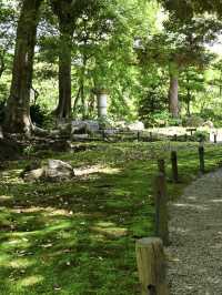 【東京/上中里】東京のバラの名所"旧古河庭園"