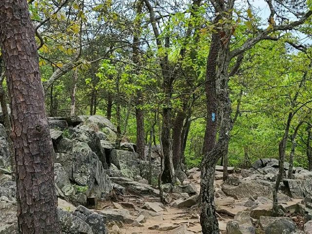 Climb, Scramble, Breathe: The Billy Goat Trail Adventure