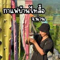 🌿 กาแฟบ้านไทลื้อ จังหวัดน่าน 🌿