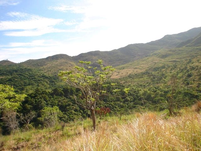 The ascent to Mount Pundaquit : Anawangin Trailblazer's tale