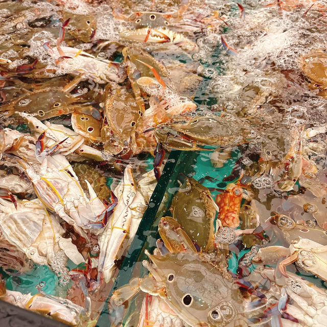 高質海鮮自助火鍋放題🦐🦐