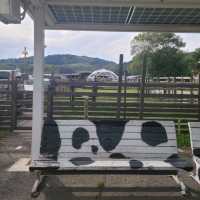 【静岡】酪農王国オラッチェ