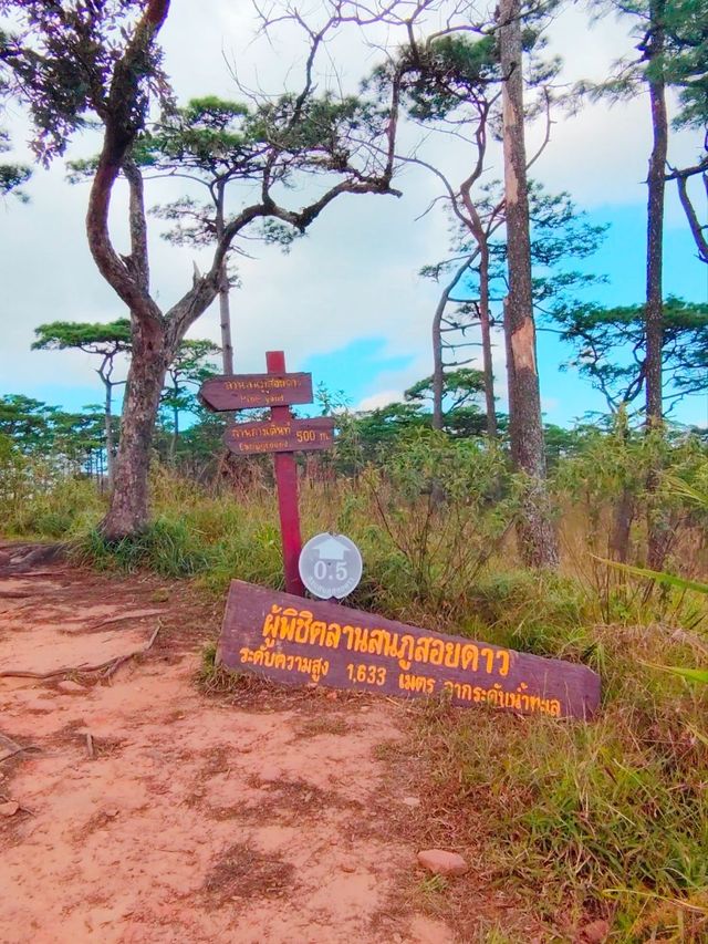เดินป่าหน้าฝน อุทยานแห่งชาติภูสอยดาว อุตรดิตถ์