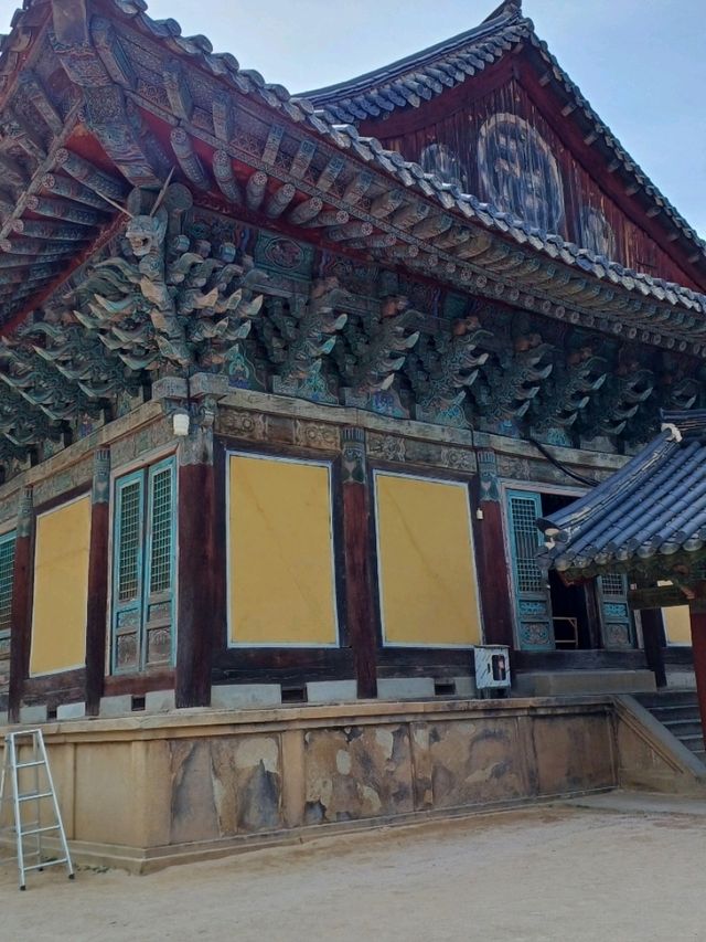 아이도 감탄하는 문화유산의 품격